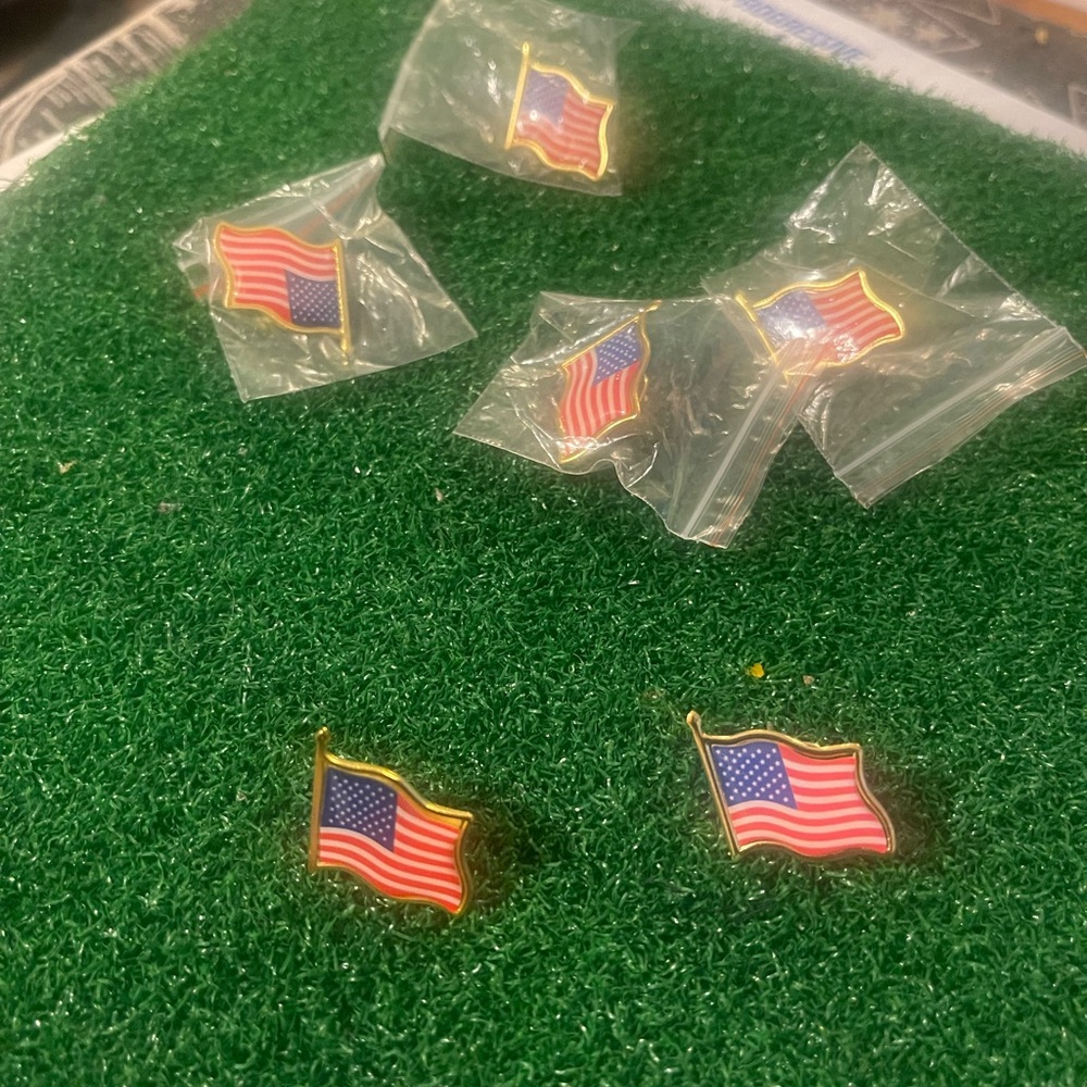 American Flag Gold-Tone pins